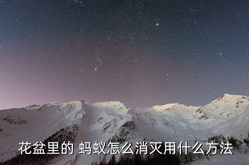 花盆有螞蟻用什么農藥,花盆里有螞蟻窩怎么辦能除根