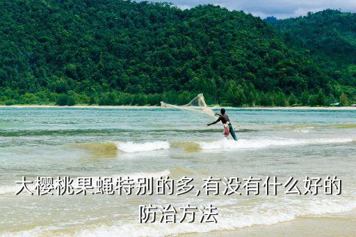 什么農藥可以消滅果子蟲,果子爛了施什么農藥