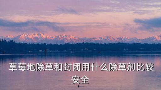 草莓地除草和封閉用什么除草劑比較安全
