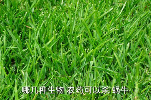 治蝸牛用什么農藥治,什么農藥可以殺滅蝸牛