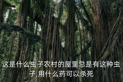 什么農藥可以打死柴,燕麥用什么農藥能打死