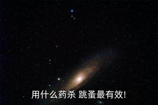 用什么藥殺 跳蚤最有效!