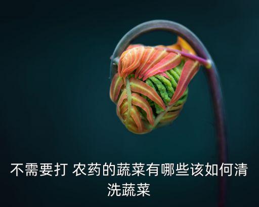 不需要打 農藥的蔬菜有哪些該如何清洗蔬菜