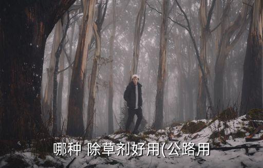 哪種 除草劑好用(公路用