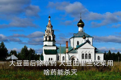 大豆什么時間開花,大豆開花后打什么農藥好