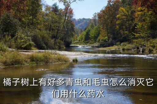 橘子樹上有好多青蟲和毛蟲怎么消滅它們用什么藥水