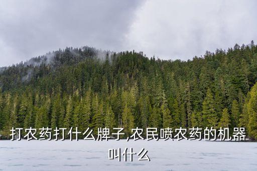 農民打農藥打什么牌子,農民噴農藥的機器叫什么