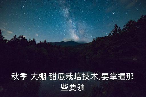 秋季 大棚 甜瓜栽培技術,要掌握那些要領
