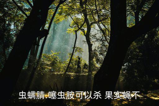 蟲(chóng)螨腈.噻蟲(chóng)胺可以殺 果實(shí)蠅不