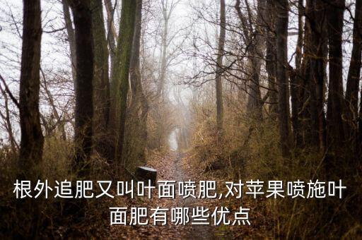 根外追肥又叫葉面噴肥,對蘋果噴施葉面肥有哪些優點