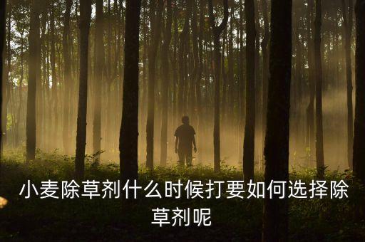 小麥病毒病哪種農藥最好,小麥打農藥什么時候最好