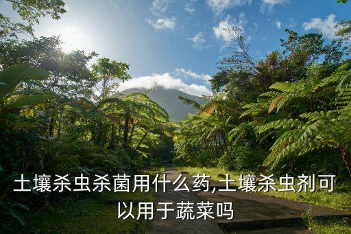 土壤殺蟲殺菌用什么藥,土壤殺蟲劑可以用于蔬菜嗎
