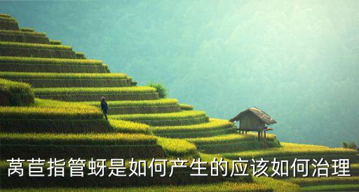 多聚硼是什么農藥,四聚乙醛是什么農藥