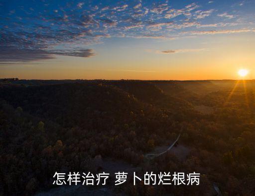 蘿卜爛葉用什么農(nóng)藥,蘿卜葉打農(nóng)藥嗎