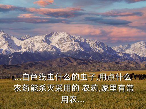 ...白色線蟲什么的蟲子,用點什么 農藥能殺滅采用的 農藥,家里有常用農...