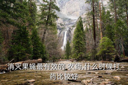 什么時候噴農藥殺蟲,早上可以噴農藥殺蟲嗎