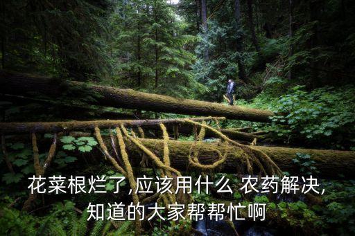 種菜爛根有什么農藥,什么農藥可以讓樹爛根