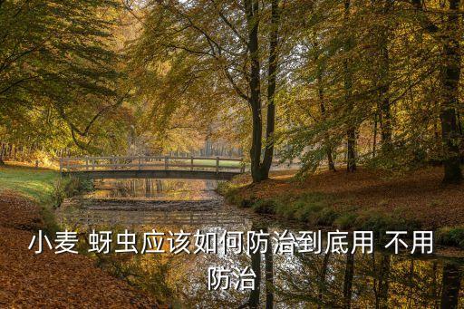 除蚜蟲不用農(nóng)藥嗎為什么,怎樣不用農(nóng)藥消滅蚜蟲