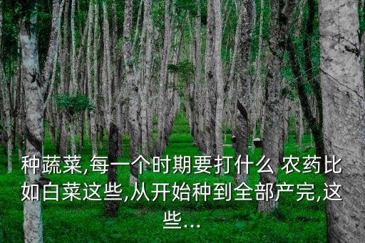 種蔬菜,每一個(gè)時(shí)期要打什么 農(nóng)藥比如白菜這些,從開始種到全部產(chǎn)完,這些...
