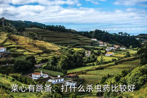 菜地里的蟲子用什么農藥,花盆有蟲子用什么農藥