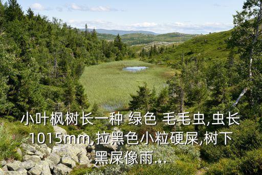 綠色毛毛蟲用什么農藥,夢見綠色毛毛蟲什么夢