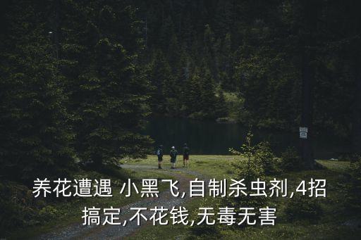 治療小黑飛用什么農藥,除小黑飛用什么農藥