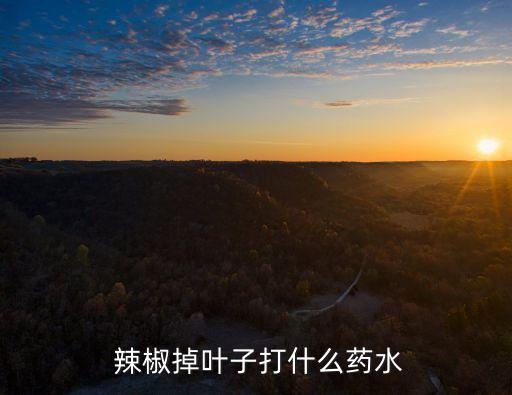 澆辣椒落葉用什么農藥,辣椒用什么農藥比較好