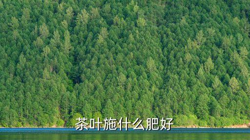 茶葉施什么肥好