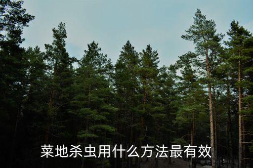 菜地殺蟲用什么方法最有效