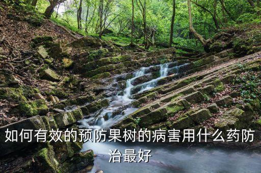 果木樹用什么農藥殺菌消毒