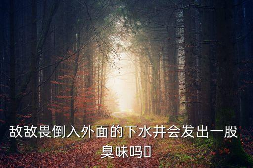 敵敵畏倒入外面的下水井會發(fā)出一股 臭味嗎?