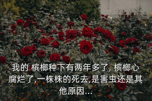 檳榔葉子蟲害噴什么農(nóng)藥,檳榔蟲害用什么藥