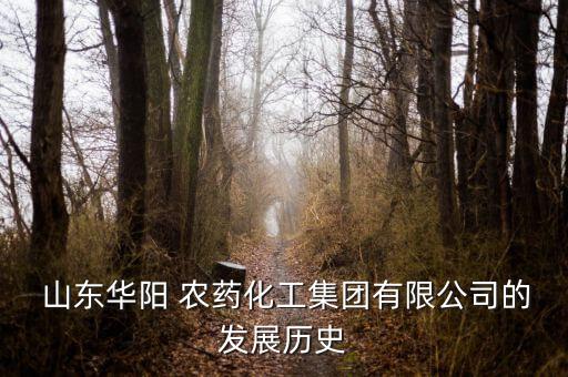 山東華陽 農藥化工集團有限公司的發展歷史