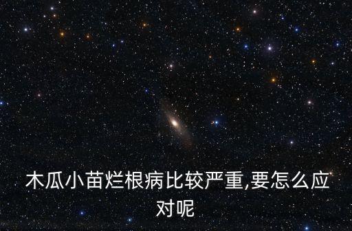 木瓜小苗爛根病比較嚴(yán)重,要怎么應(yīng)對呢