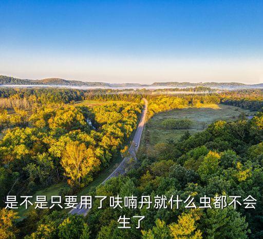 農(nóng)藥殺蟲丹什么作用,粒粒飽農(nóng)藥有什么作用