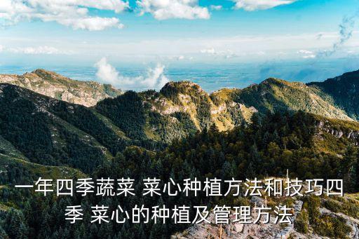 一年四季蔬菜 菜心種植方法和技巧四季 菜心的種植及管理方法