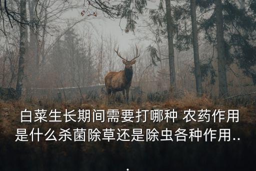 白菜苗害蟲用什么農藥,白菜打農藥什么時間最好
