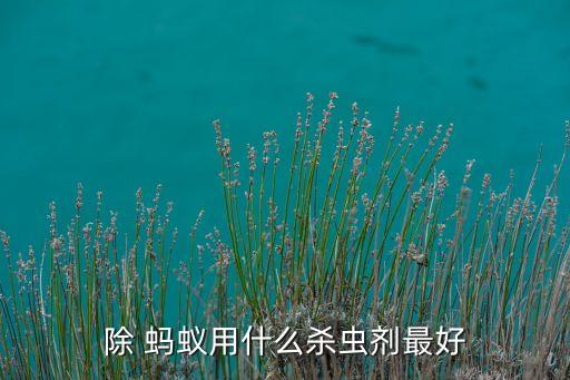 什么農藥可殺死螞蟻,敵敵畏農藥可以殺死螞蟻嗎