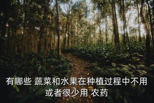 種什么蔬菜不會有農(nóng)藥,什么蔬菜吃了不會胖