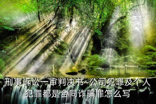 刑事訴訟一審判決書~公司犯罪及個人犯罪都是合同詐騙罪怎么寫