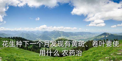 花生種下一個月發現有黃斑、卷葉要使用什么 農藥治