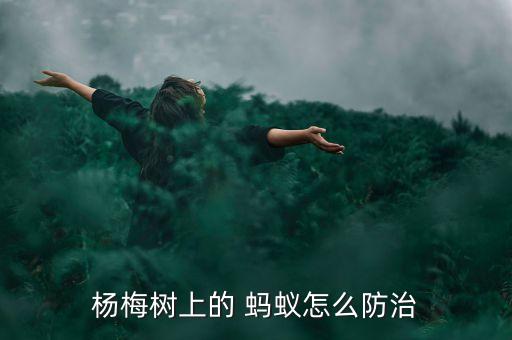 楊梅樹上的 螞蟻怎么防治