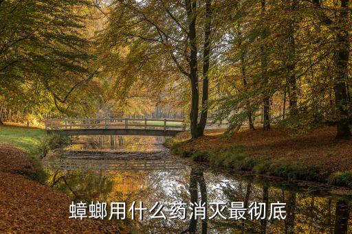 打死蟑螂的農藥是什么,夢見打死很多蟑螂是什么意思