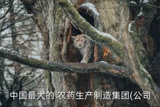 農藥化肥供貨單位是什么,擬主要供貨單位是什么意思