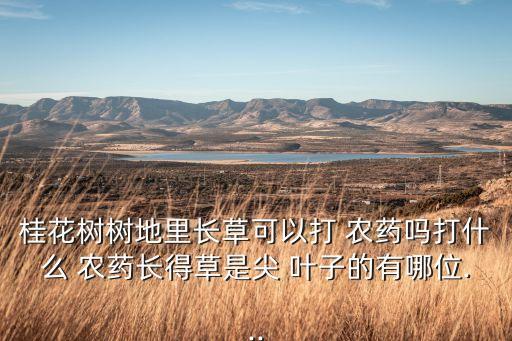 用什么農藥可以將樹木殺死,樹木葉子噴什么農藥