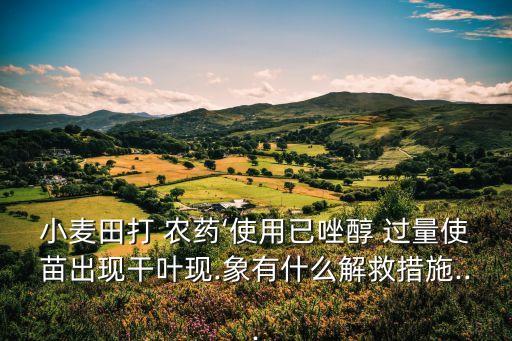 小麥田打 農藥‘使用已唑醇 過量使苗出現干葉現.象有什么解救措施...