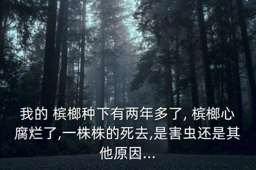 水稻農藥與檳榔農藥哪個好,檳榔打農藥用什么農藥