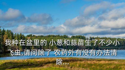 小蔥管蟲用什么農藥治,小蔥一般打什么農藥