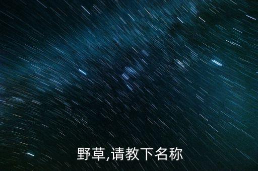 苦苣菜野草用什么農藥