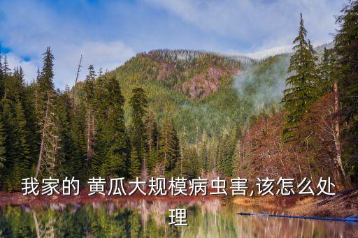 黃瓜一般用什么農藥,黃瓜幼苗打什么農藥